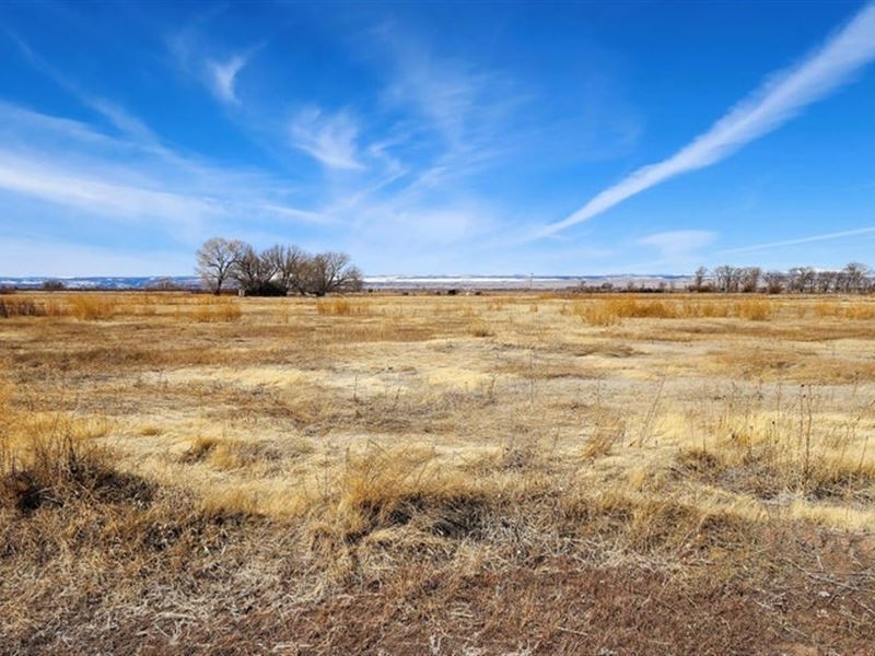 County Road M, Manassa, Co 81141 : Manassa : Conejos County : Colorado