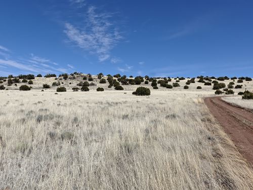 The Night Sky Awaits : Concho : Apache County : Arizona
