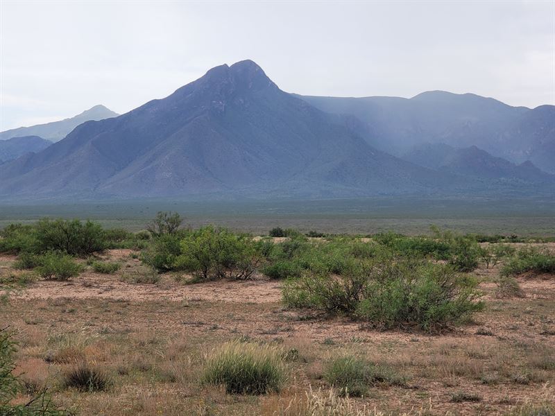 Get Back to Basics on 0.5 Acre : Deming : Luna County : New Mexico