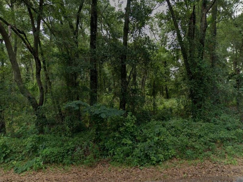 6 Lots for Sale in Ocklawaha, FL : Ocklawaha : Marion County : Florida