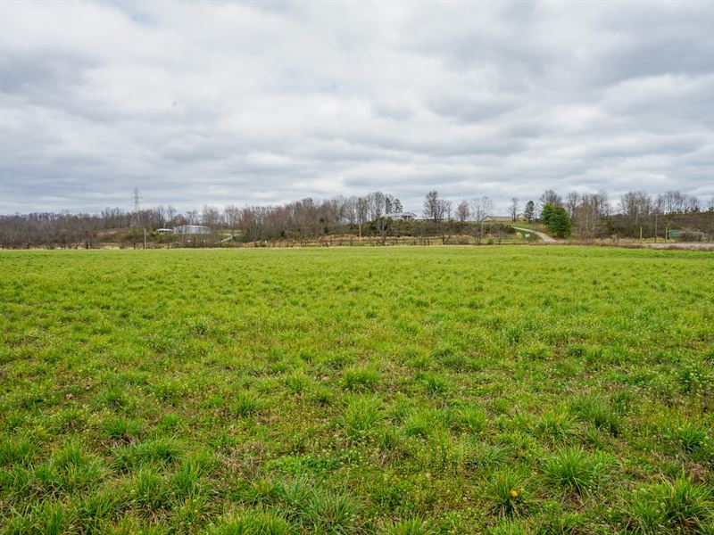 Pleasant Valley Rd 10 Ac, Lot 10 : Vinton : Gallia County : Ohio