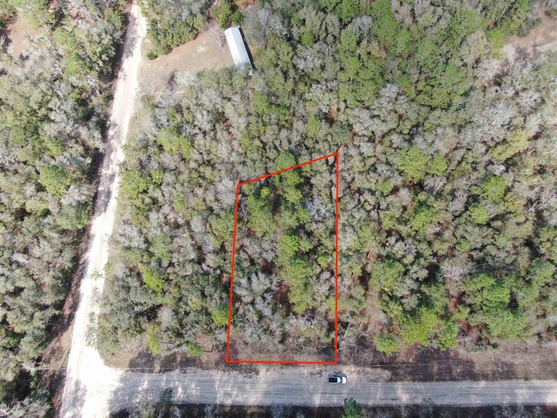 Vacant NE Blue Springs Church Road : Lee : Madison County : Florida