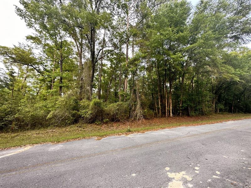 1.12 Acres in Live Oak, Florida : Live Oak : Suwannee County : Florida