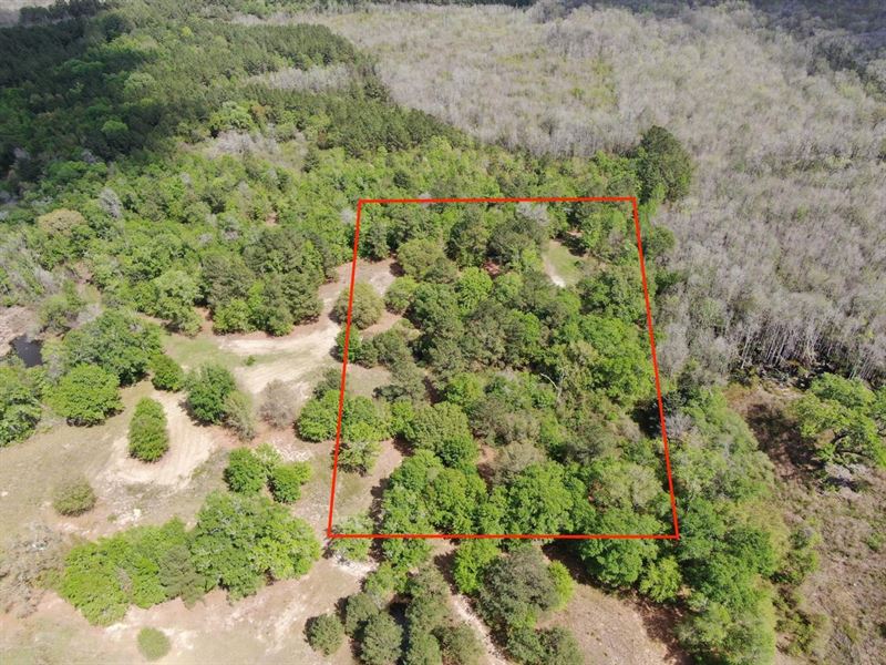 Awesome 5 Acre Hunting/Recreational : Greenville : Madison County : Florida