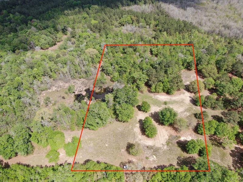 Awesome 5 Acre Hunting/Recreational : Greenville : Madison County : Florida