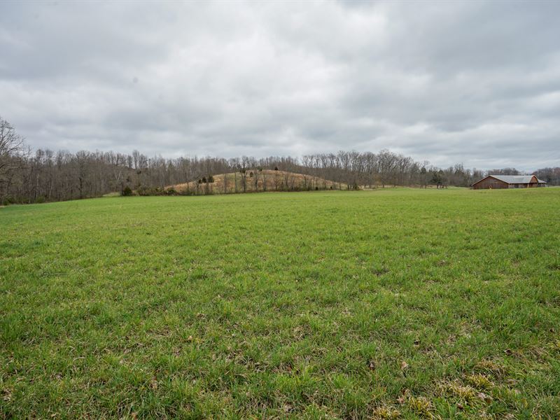 Pleasant Valley Rd 7 Ac, Lot 2 : Vinton : Gallia County : Ohio