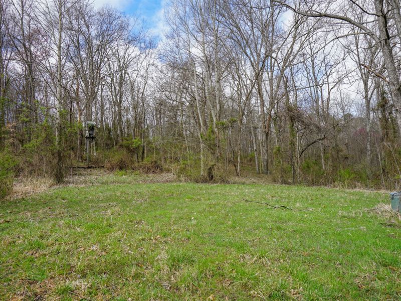 St Rt 325 15 Ac, Lot 4 : Vinton : Gallia County : Ohio