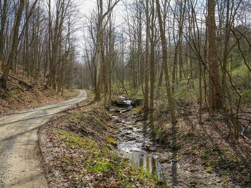 Matson Rd 10 Acres : Stockport : Morgan County : Ohio
