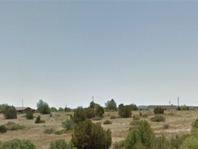 2 Hours to Denver : Colorado City : Pueblo County : Colorado