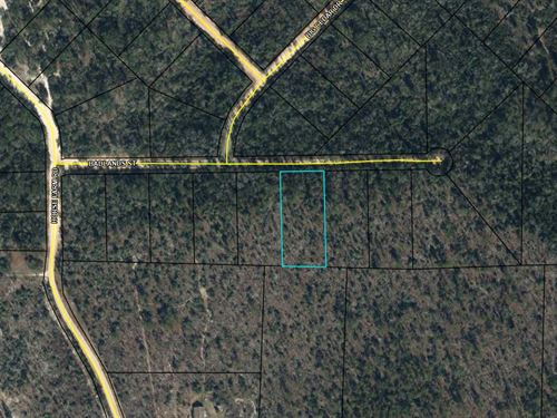 Equestrian Friendly Homesite : Marianna : Jackson County : Florida