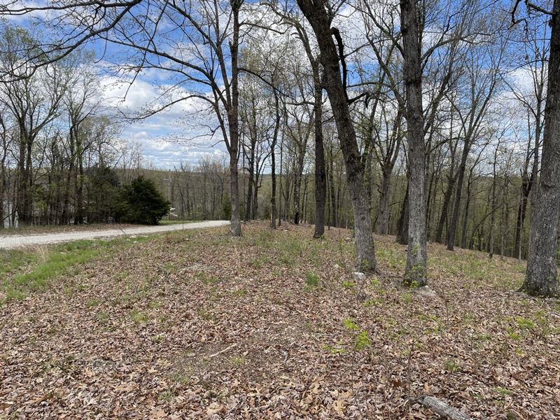 2 Lots, Horseshoe Bend, Arkansas : Horseshoe Bend : Izard County : Arkansas
