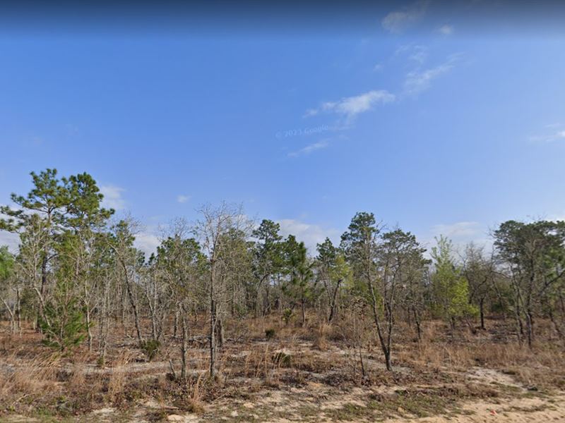 Mobile Home Friendly : Interlachen : Putnam County : Florida
