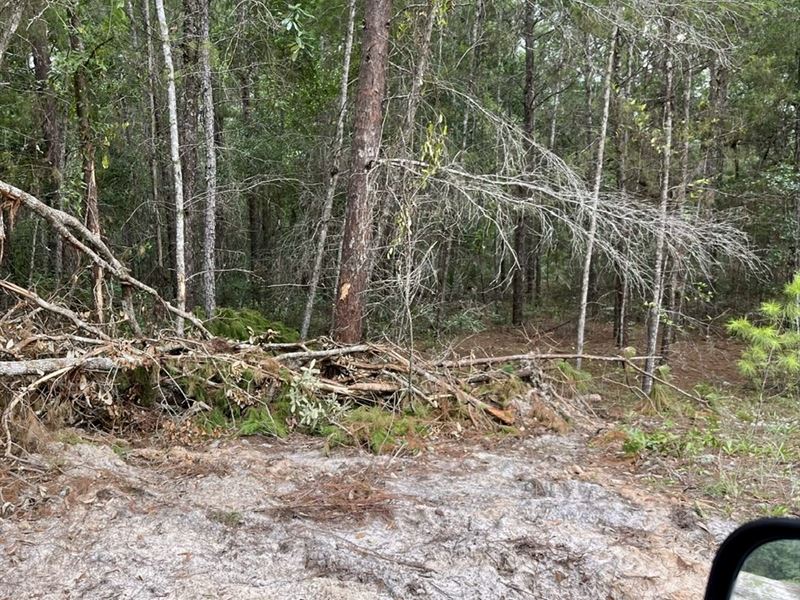 Secluded Lot Near St Johns, $87/Mo : Satsuma : Putnam County : Florida