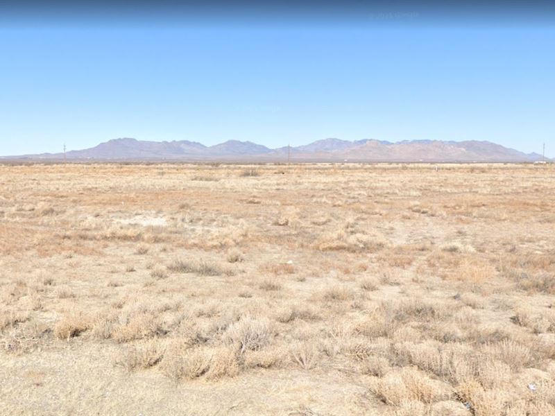 Welcome to Beautiful Cochise County : Arizona : Cochise County : Arizona