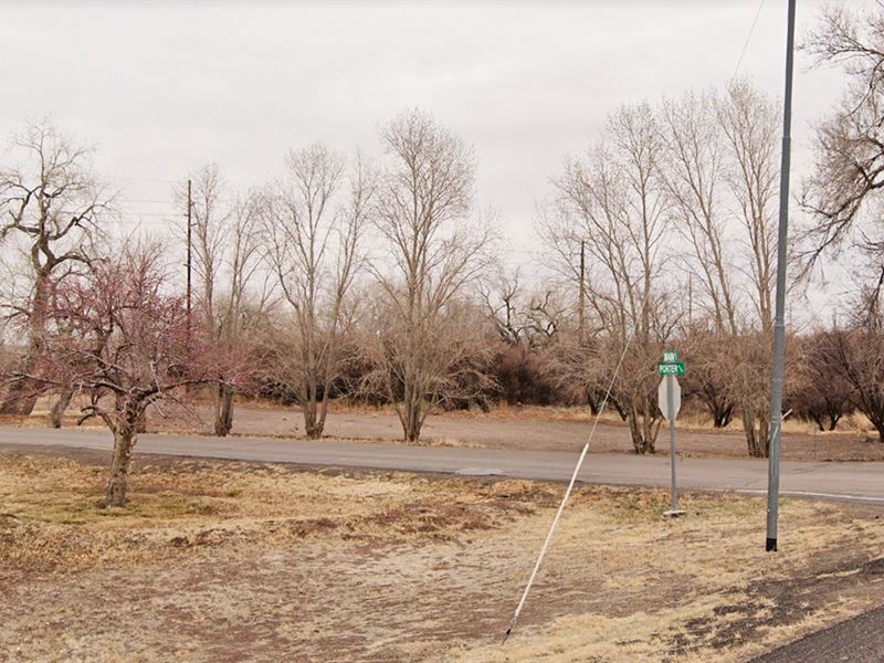 $2,000 Off, 1 Ac Navajo County, AZ : Joseph City : Navajo County : Arizona