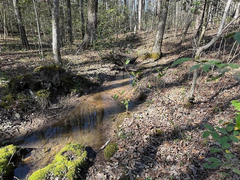 5.24 Acres Wooded Property Unrest : Sequatchie : Grundy County : Tennessee