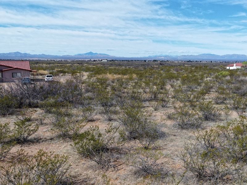 Dream Parcel for Dreamers : Douglas : Cochise County : Arizona