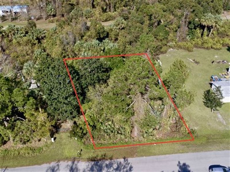 $156/Mo Beautiful Lot Near River : Georgetown : Putnam County : Florida