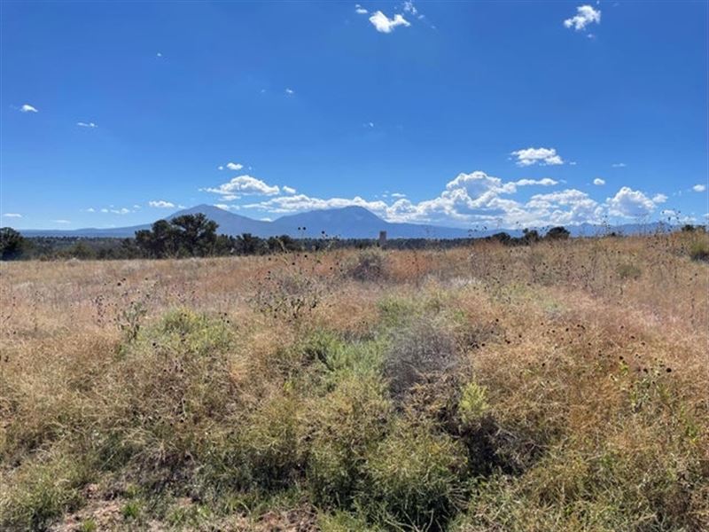 4 Navajo Ranch Resort 4, Walsenbur : Walsenburg : Huerfano County : Colorado