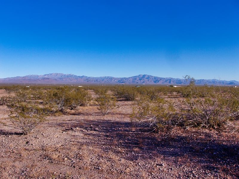 Get Here in Your Car, $150/Mo : Golden Valley : Mohave County : Arizona