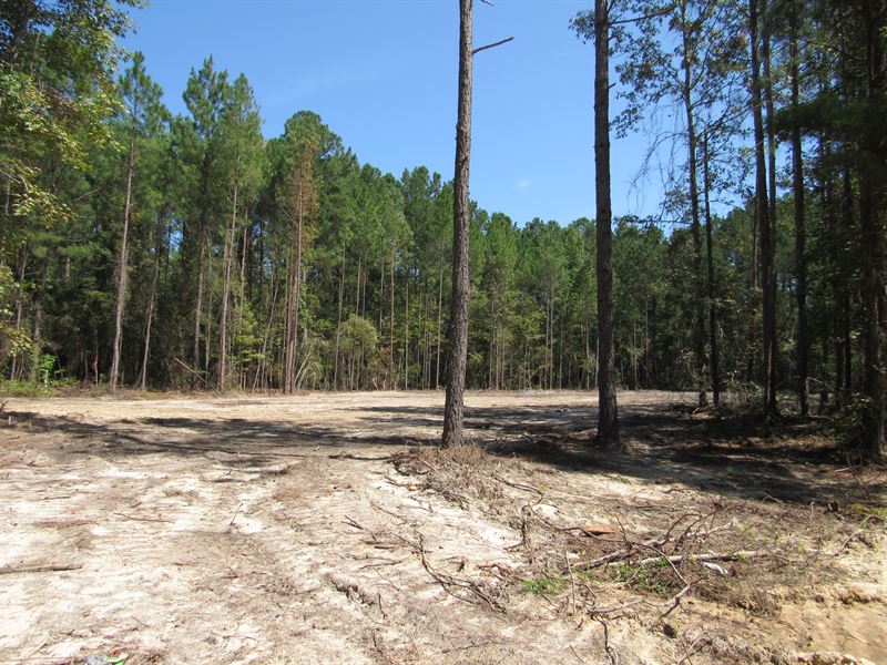 Cleared Lot Ready To Build On : Swainsboro : Emanuel County : Georgia