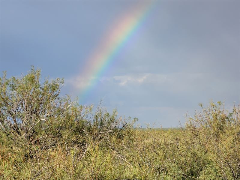 Flip Those Dollars on 0.5 Acres : Deming : Luna County : New Mexico