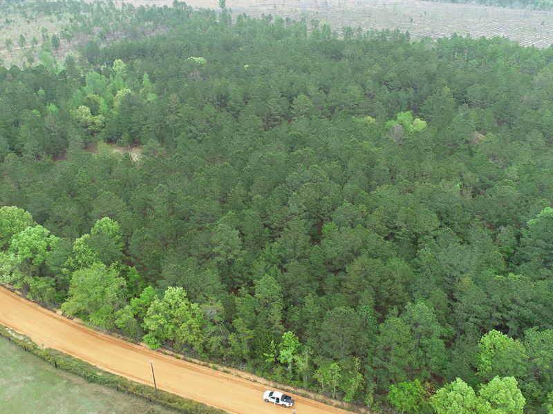 Fall Line Homesite : Mauk : Taylor County : Georgia