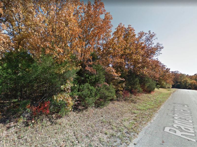 Minutes From Lake on Buildable Land : Horseshoe Bend : Izard County : Arkansas