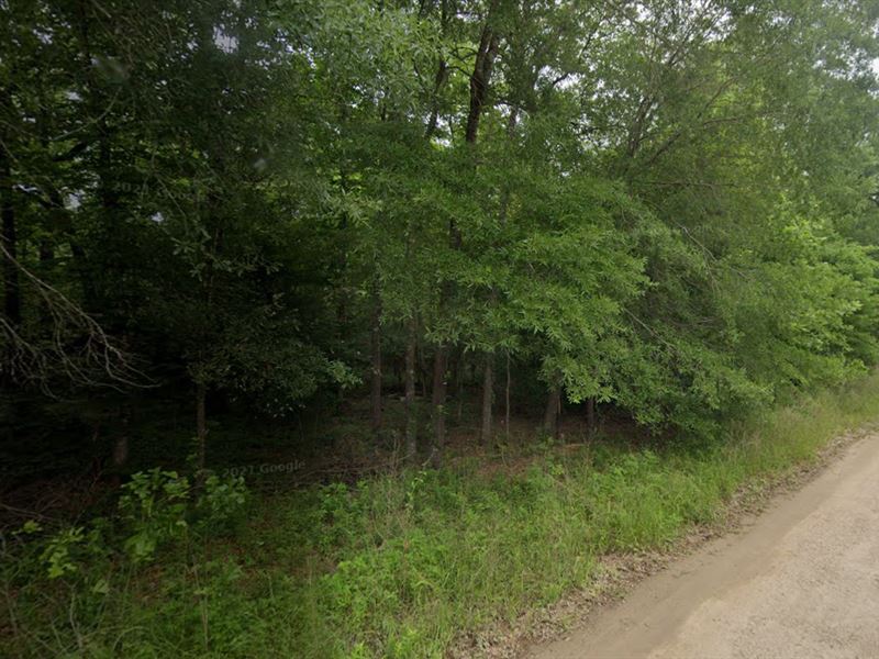 Set up Camp & Start Making Memories : Livingston : Polk County : Texas