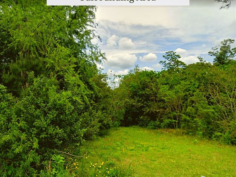 .46 Acre Only 5 Minutes to Macon : Macon : Bibb County : Georgia