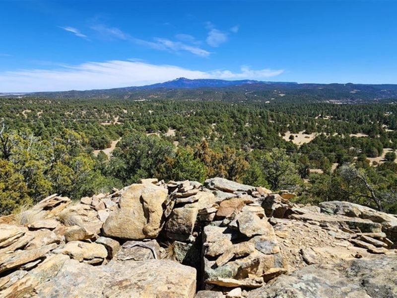 28990 Co Rd 16, Trinidad, Co 81082 : Trinidad : Las Animas County : Colorado