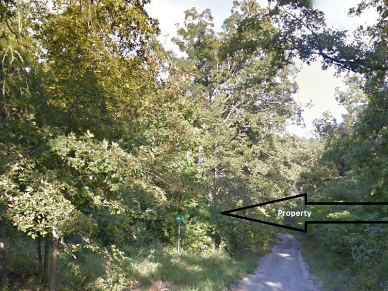 Large Corner Lot, $1050 Cash : Williford : Sharp County : Arkansas