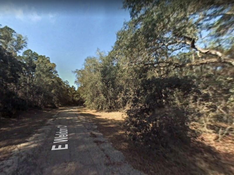 .26 Acre in Citrus Springs, FL : Citrus Springs : Citrus County : Florida