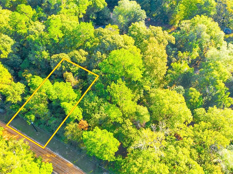 .14 Acre Unrestricted Wooded Lot : Livingston : Polk County : Texas