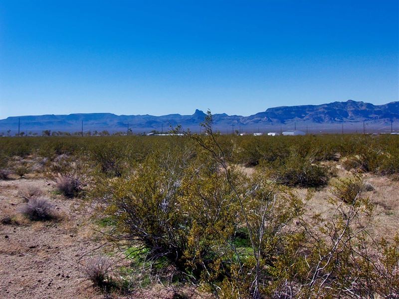 Easy Access Homesite $175 Per Month : Golden Valley : Mohave County : Arizona