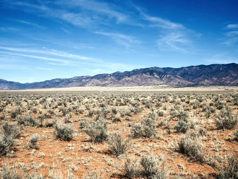 Own Land for Only $150.00 : Belen : Valencia County : New Mexico