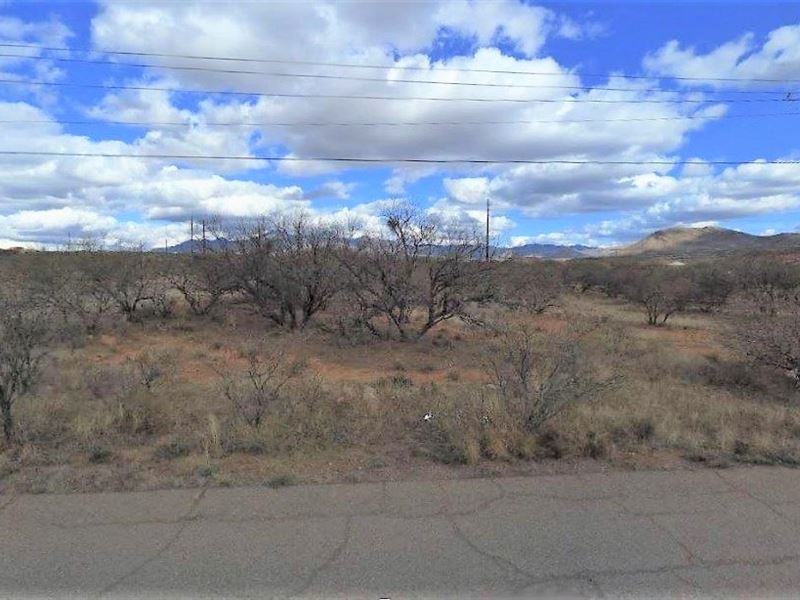 Nice Flat 0.3 Acre Lot : Rio Rico : Santa Cruz County : Arizona