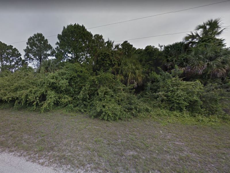 2 Lots for Sale in Lehigh Acres, FL : Lehigh Acres : Lee County : Florida