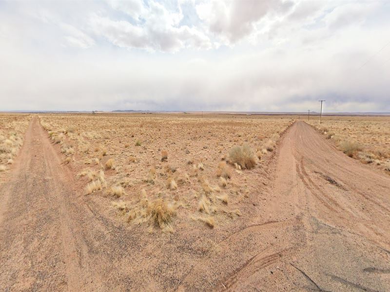 $1,800 Off The Cash Price, 1.25 Ac : Holbrook : Navajo County : Arizona