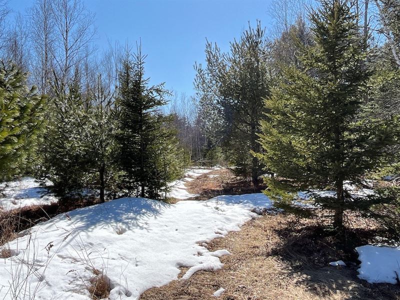 Eddington 479 Main Rd 8.87 Acres : Eddington : Penobscot County : Maine
