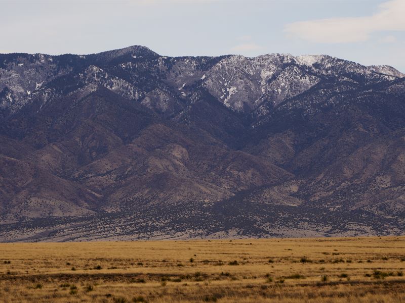 Serenity Awaits for $50/Month : Belen : Valencia County : New Mexico
