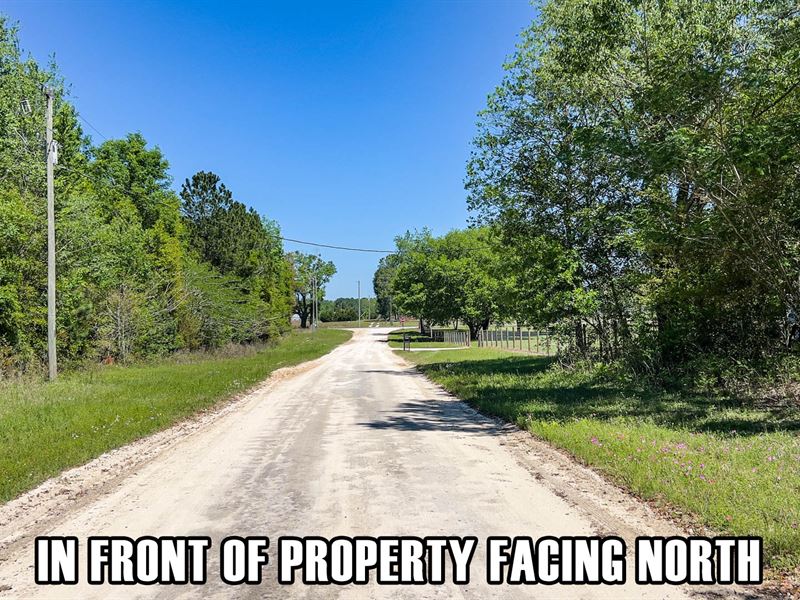 Nice 4 Acres, Easy Owner Finance : Live Oak : Suwannee County : Florida