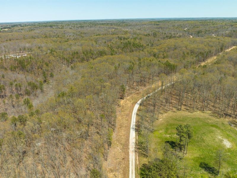 Golden Mane Acres : Raymondville : Texas County : Missouri