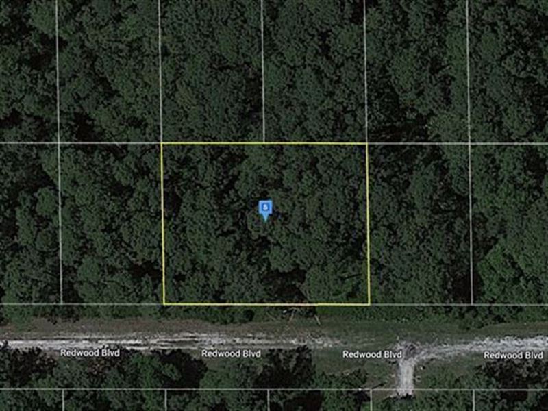 $187/Mo Beautiful Double Lot : Georgetown : Putnam County : Florida