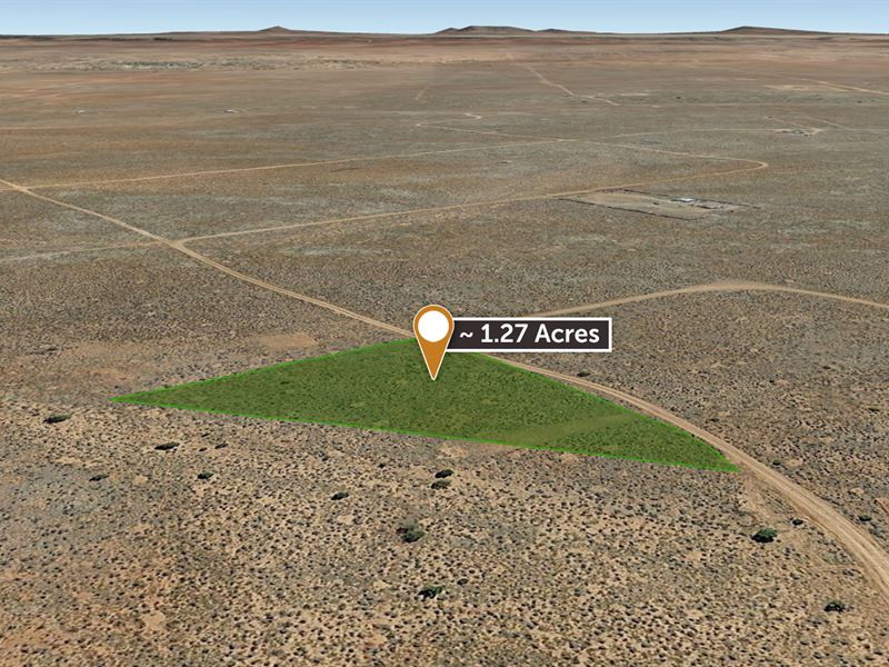 Great Access to Grand Canyon : Williams : Coconino County : Arizona