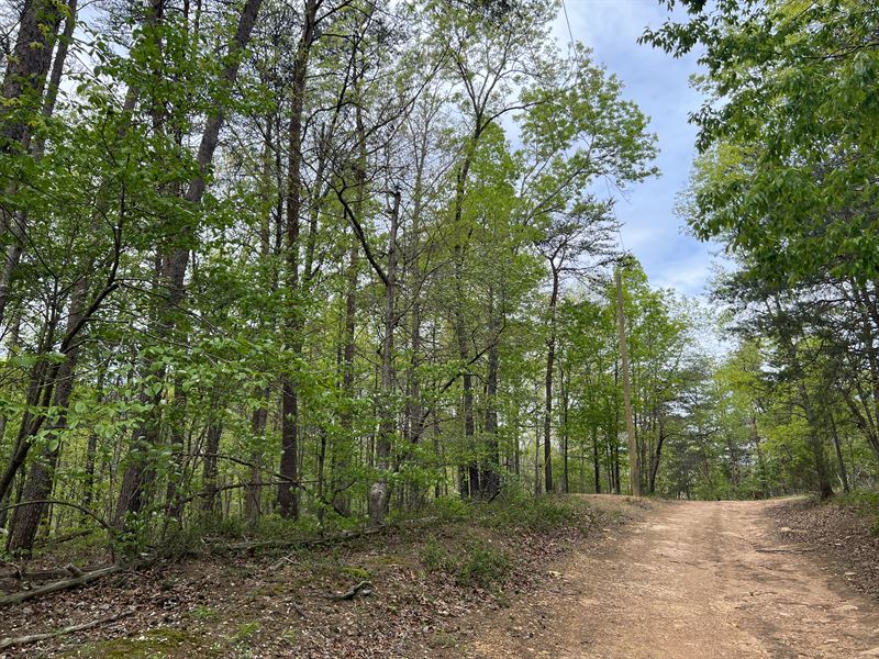 Build or Place Your Home Here : Fairmount : Gordon County : Georgia