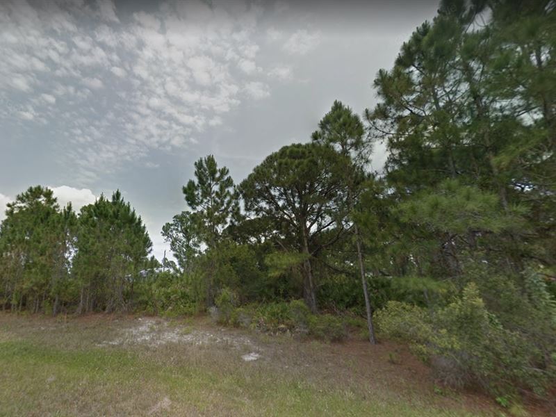 2 Lots in Port Charlotte, FL : Port Charlotte : Charlotte County : Florida