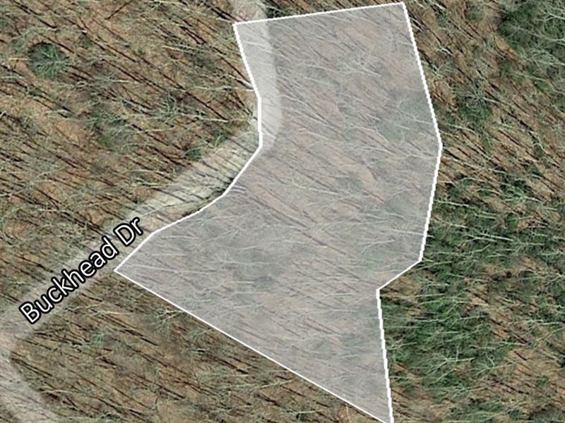 1.03 Acres of Mountain Escape Land : Cullowhee : Jackson County : North Carolina