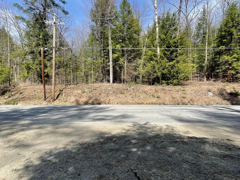 Adirondack Land with Lake Rights : Chestertown : Warren County : New York