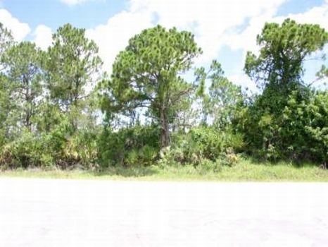 Building Lot in Palm Bay : Palm Bay : Brevard County : Florida